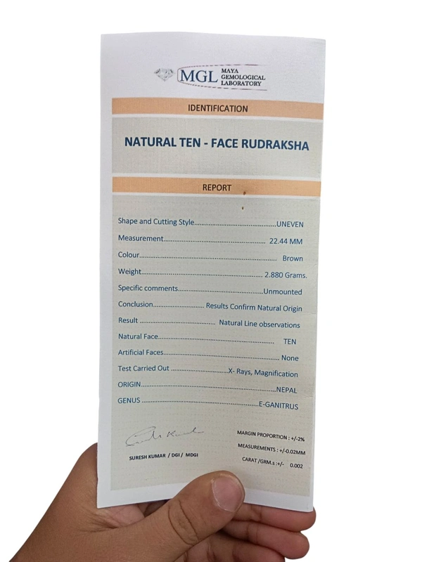 Natural Rudraksha - 10 Mukhi