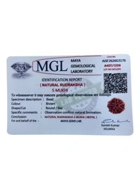 Nepali Rudraksha - 5 Mukhi