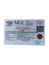 Nepali Rudraksha - 6 Mukhi