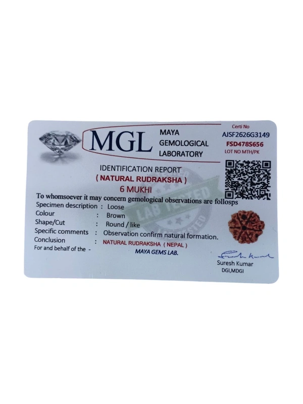 Nepali Rudraksha - 6 Mukhi