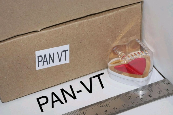 Pan VT - Pan Ring