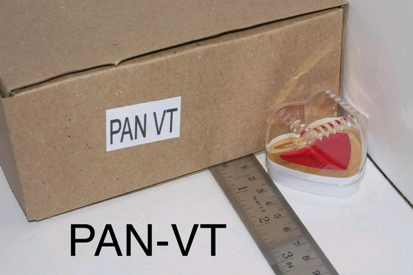 Pan VT - Pan Ring