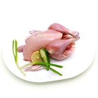 Chicken Full (Skinned Out ) - 1.5 Kg