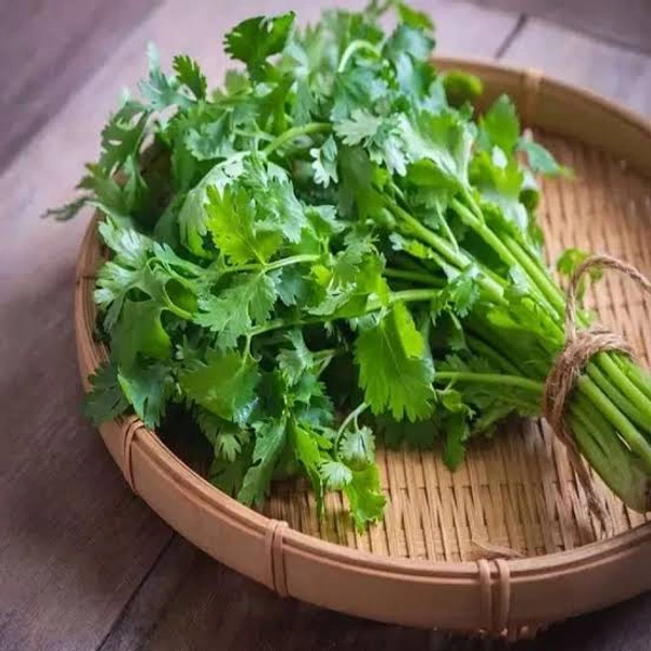 Coriander ( Kothumalli) - Bunch - In Stock, 1 Bunch