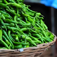 Green Chilli - In Stock, 100g