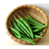 Green Chilli - In Stock, 100g