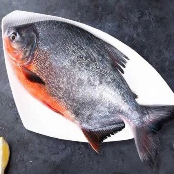 Fish - Parai - 1 Kg