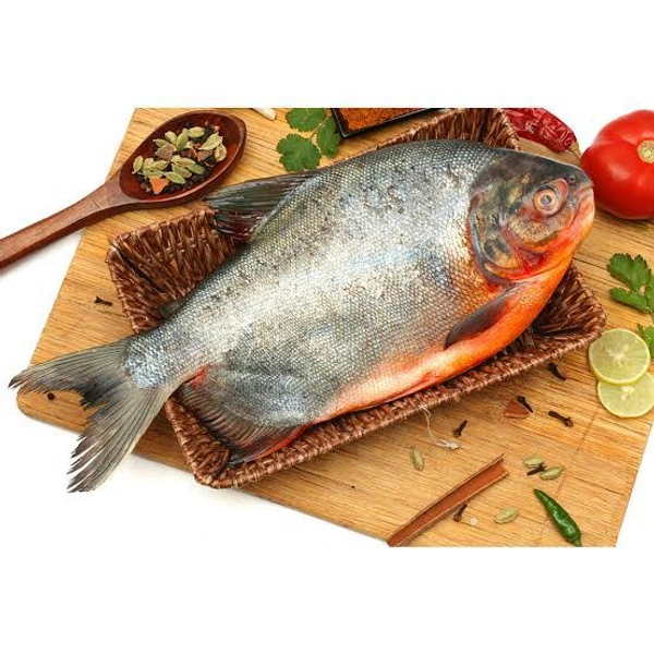 Fish - Parai - 1 Kg
