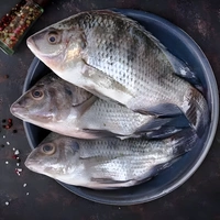 Fish - Chapaaraai (Tilapia) - 1Kg