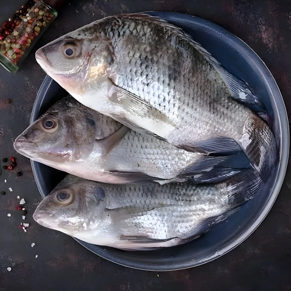 Fish - Chapaaraai (Tilapia) - 1Kg