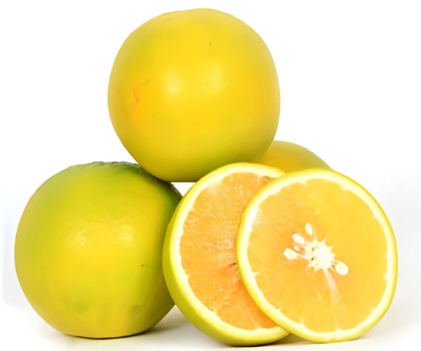 Sathukudi Orange - 1 Kg