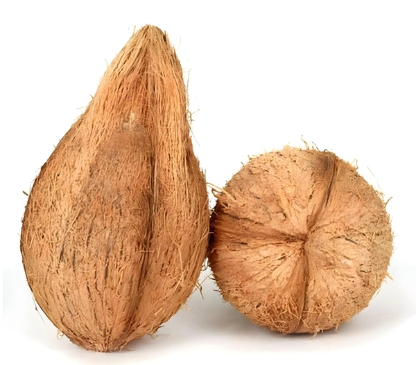 Coconut - 1 Kg