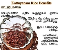 Katu Yanam Rice Idly