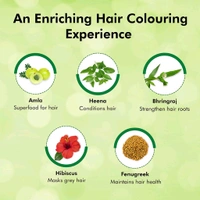 Indica Easy Shampoo Hair Color Natural Black 1 - Out of Stock, Hair Color