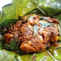 Kili Parota