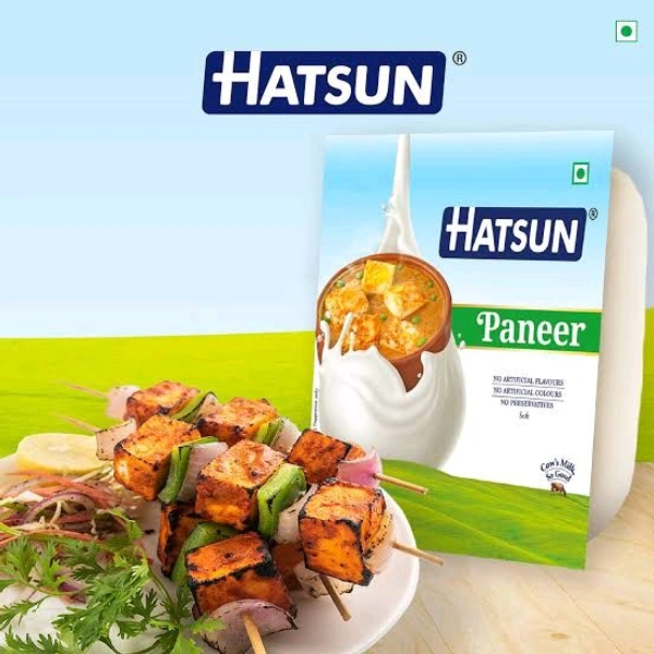 Hatsun Paneer - 200g