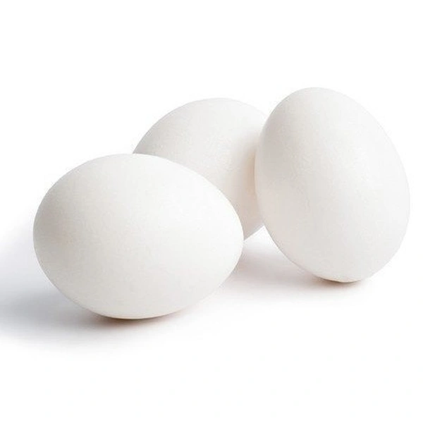 Egg