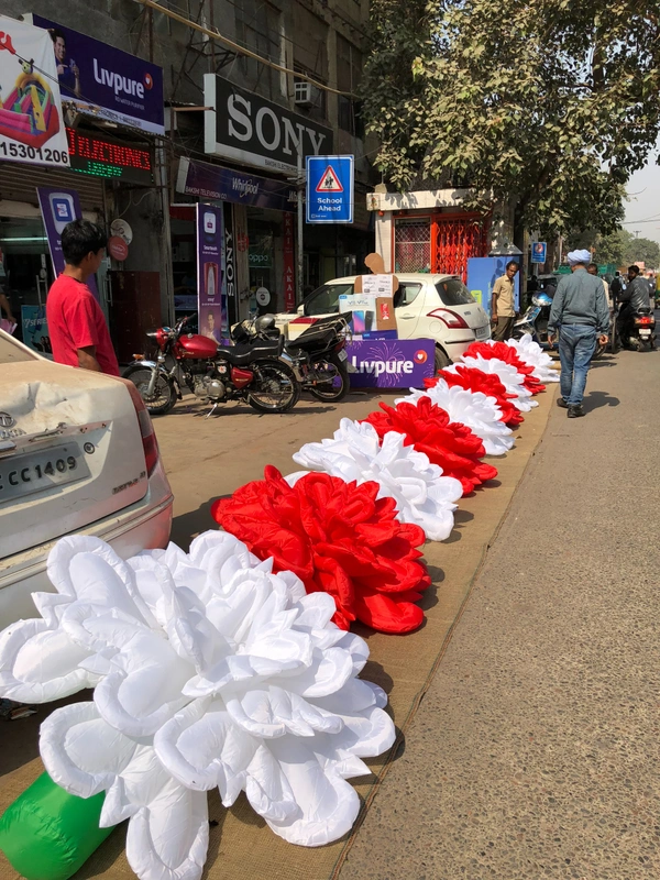 Rose Flower Entry - 32ft