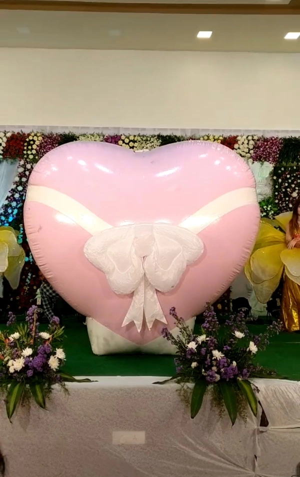 Heart Entry Balloon