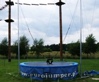 Bunge Jumping