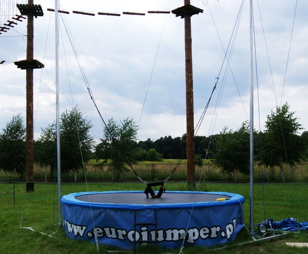 Bunge Jumping