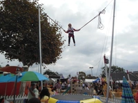 Bunge Jumping