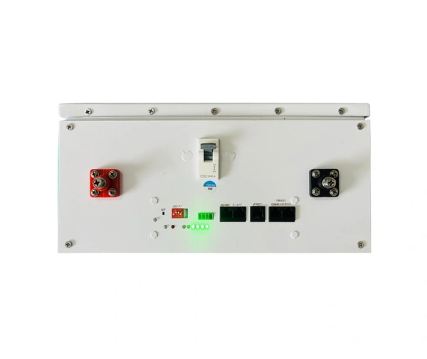 Durasol 25.6V 100AH Lithium PO4 Wall Mount Battery 5 Years Warranty with Parallel BMS