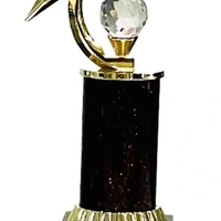 Wooden Trophy 