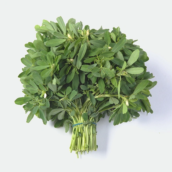Methi 1pieces