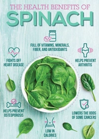Palak  1 Pieces 200_350 Gm - Spinach