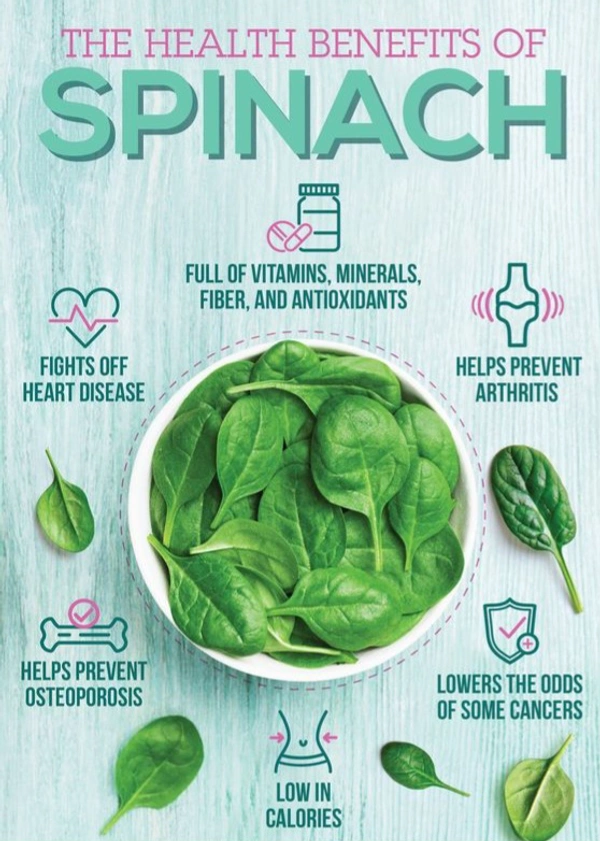 Palak  1 Pieces 200_350 Gm - Spinach