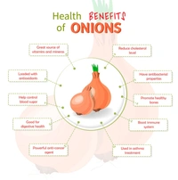 Yes Baskit  Onion  1kg  - Pyaaz Pyaj