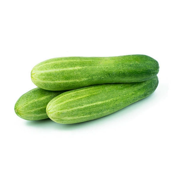 Hybrid Kheera/Cucumber  - 500 Gm