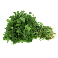 Methi / fenugreek leaves - 1 Kg