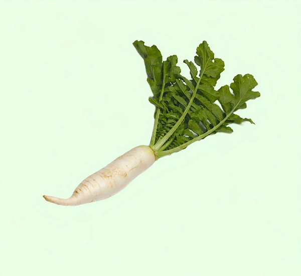 Radish/Mooli - 250 Gm