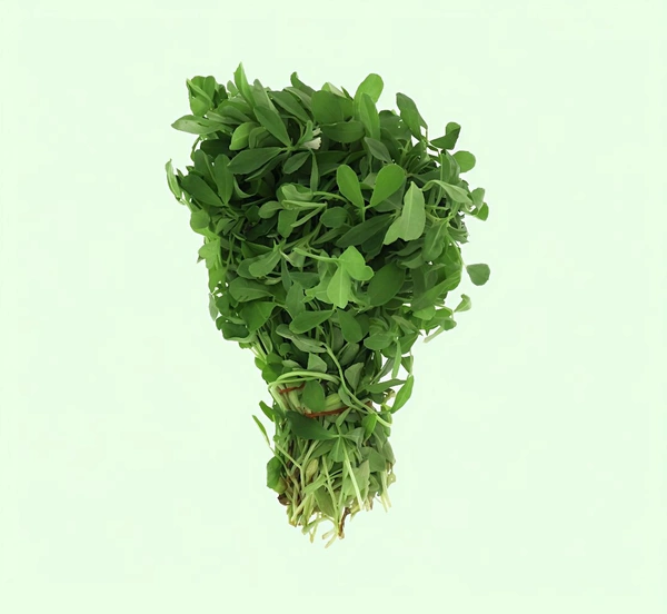 Fenugreek leaves/ Methi - 500gm