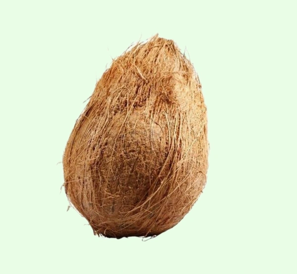 Brown Coconut 