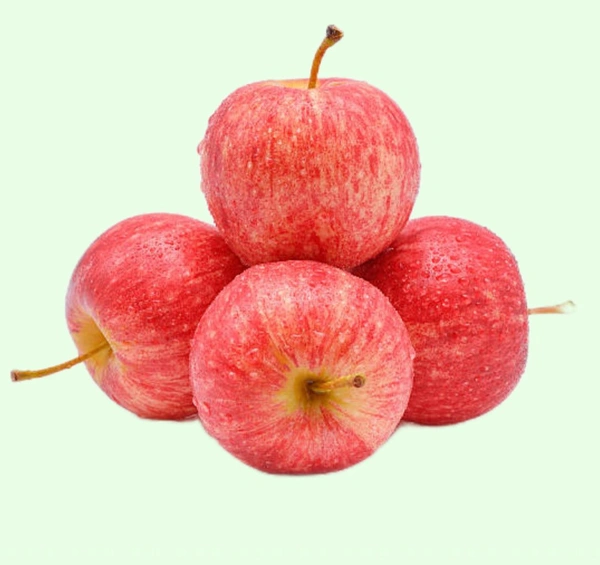 Apple Kinnaur