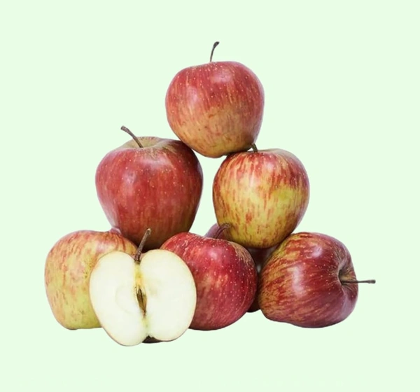 Apple Shimla 