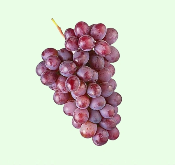 Red Grapes 