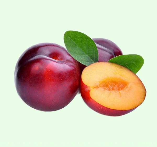 Plum 