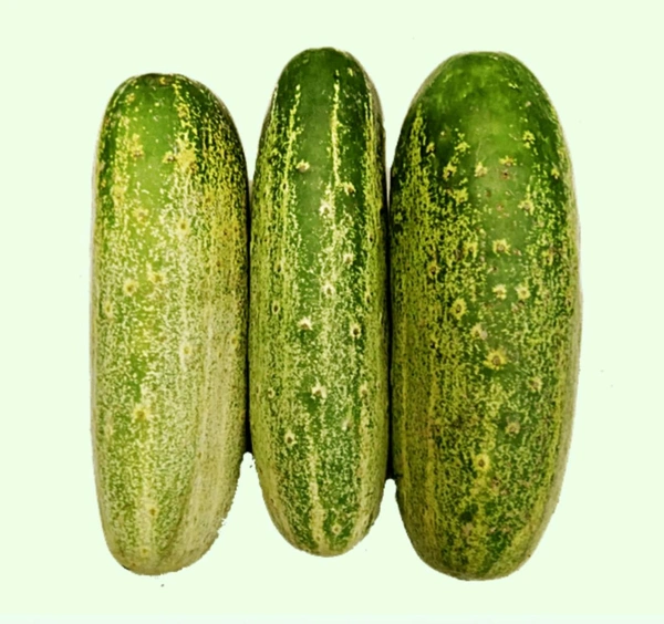 Cucumber Deshi - 1kg