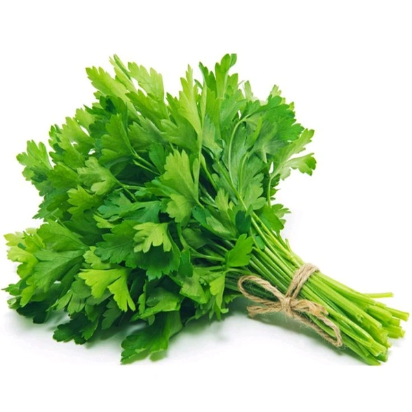 Coriander Leaves/Dhaniya  - 100 Gm