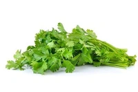 Coriander Leaves/Dhaniya  - 100 Gm