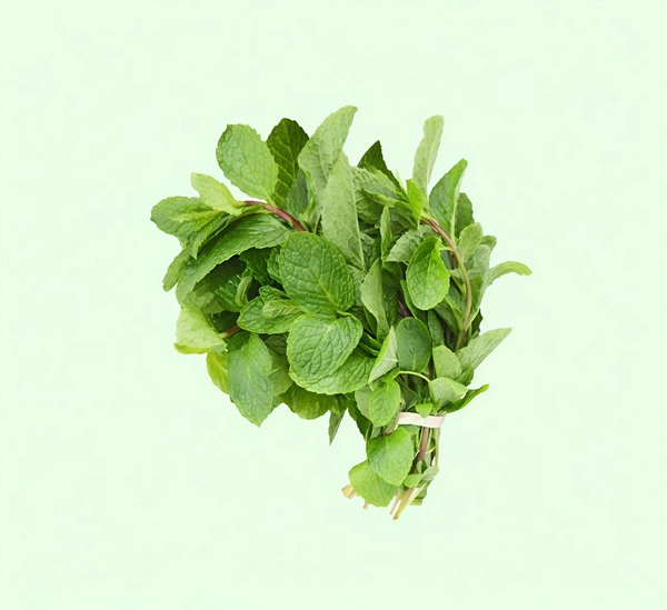 Mint/Pudina  - 200gm