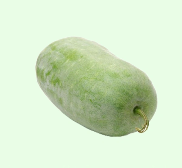 White Pumpkin  - 2 Pc