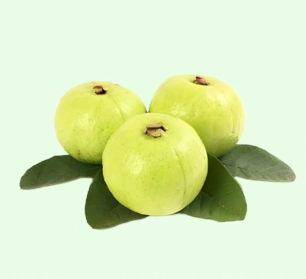 Guava Thai /Amrud - 500 - 600G (Premium)