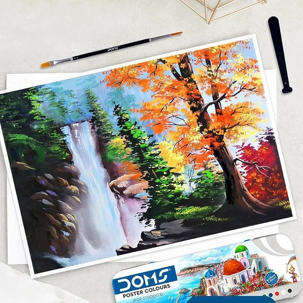 Doms Poster Colour Set Of 12