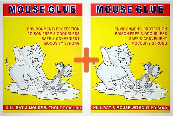 Mouse Glue / Rat Trap Set Of 2