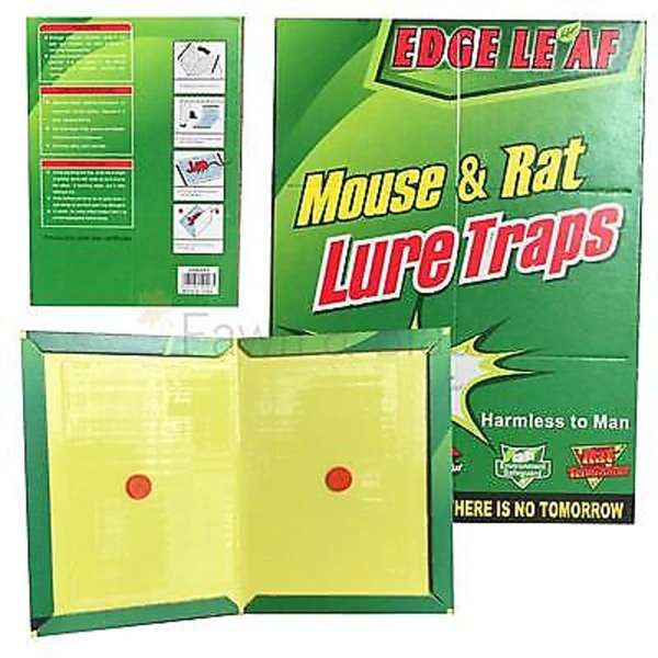 Mouse Glue / Rat Trap Set Of 2